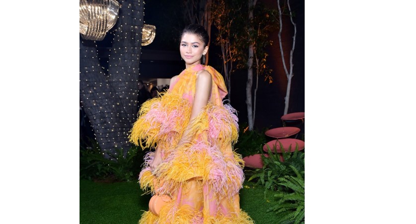 5 Things You Didn’t Know About Zendaya
