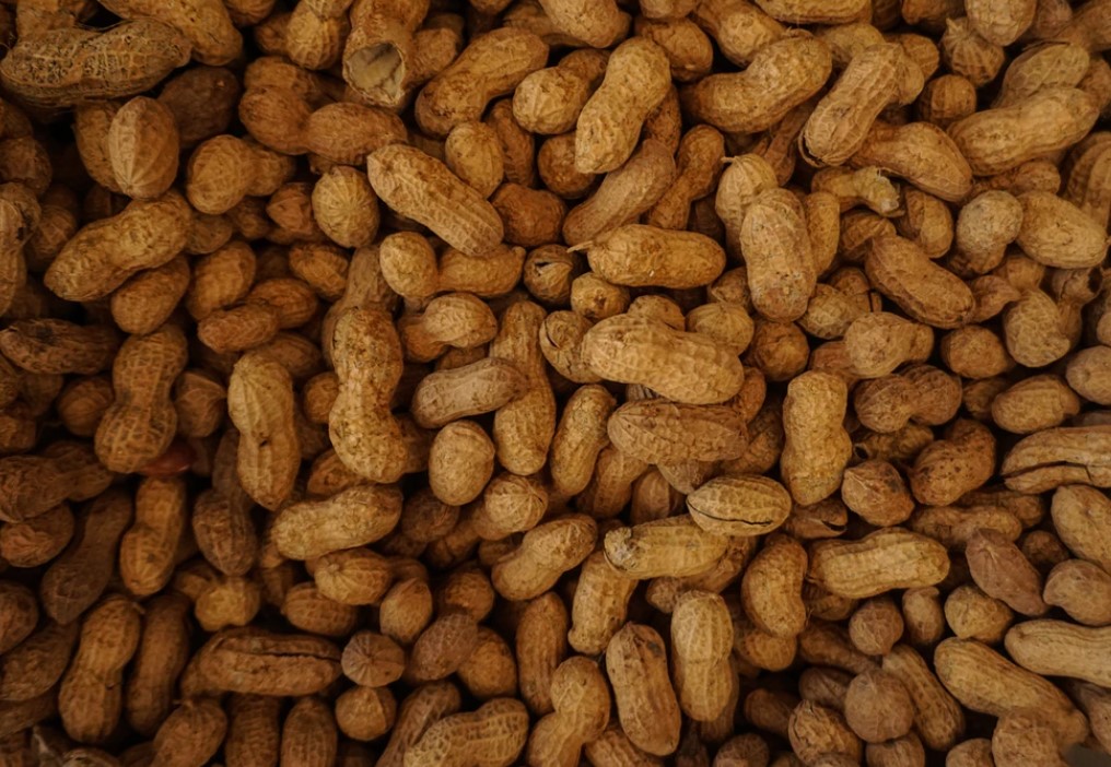 First Treatment for Peanut Allergy Approved by FDA