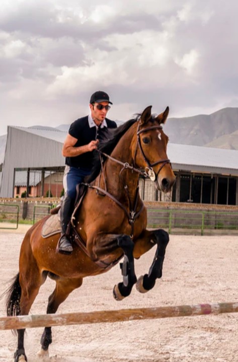 Best Riding Horse Breeds Revealed!