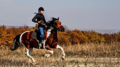 Advantages of Wearing Long Pants Horseback Riding